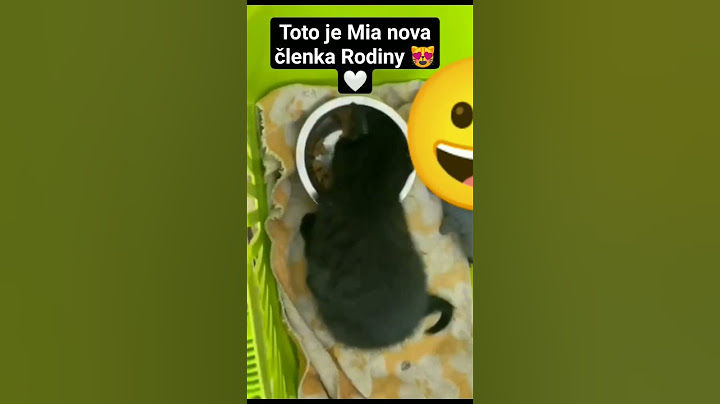 toto je Mia nová členka Rodiny 😻🤍 #shortvideo #subscribe #status #shortvideo #viral #friends