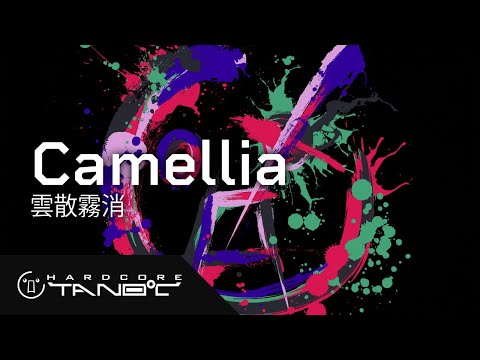 Video: Camellia Mietje