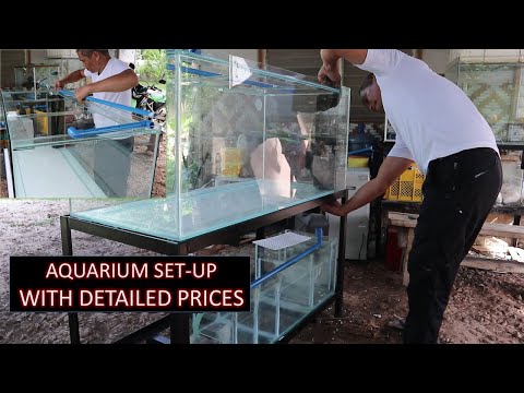 Video: DIY aquarium filter. Paano mag-ipon ng isang filter ng aquarium: mga diagram, mga tip