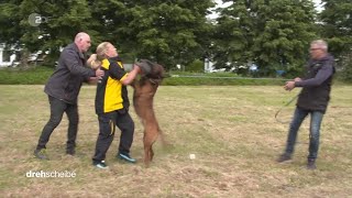 Umgang mit aggressiven Hunden - Training für Postboten