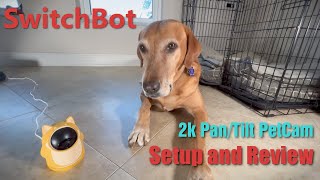 Keep an eye on your pets with SwitchBot Pan/Tilt 2k wireless pet cam by reallyMello 217 views 1 year ago 8 minutes, 22 seconds