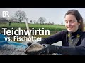 Teichwirtin fischt ab: Wie viel Beute hat der Fischotter gemacht? | Landwirtschaft | BR