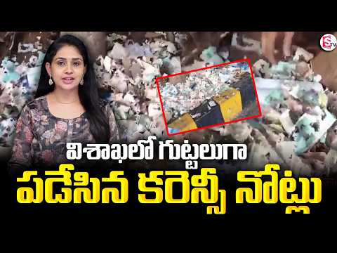 Currency Notes Found In Vizag Park | విశాఖలో గుట్టలుగా పడేసిన కరెన్సీ నోట్లు | SumanTV Manasa