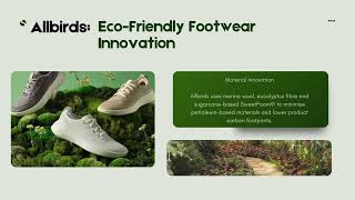BX2184 Assessment 3 sustainable marketing video