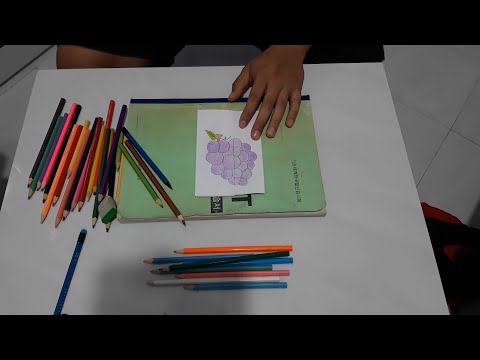 Video Sử dụng bút chì màu vẽ chùm nho màu tím - youtube