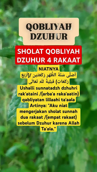 Sholat Qobliyah dzuhur 4 RAKAAT #shorts #shortvideo #ngajionline #santri