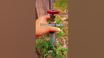 my favorite cache is a custom made container that was created to fit the environment, what’s yours?!