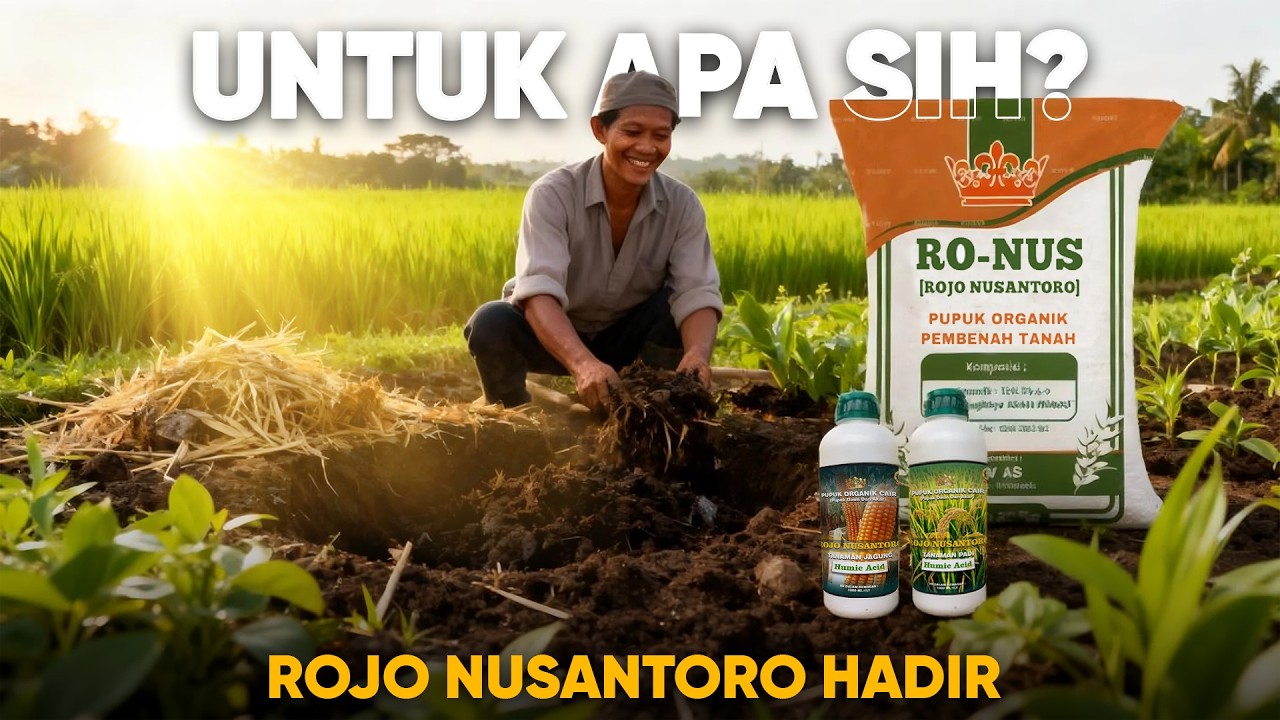 Kenapa Harus Pakai Pupuk Organik Rojo Nusantoro? Ini Tujuan & Nilai Rojo Nusantoro untuk Petani