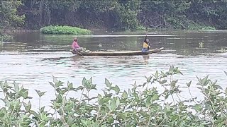 Download Lagu A pescaria de hoje foi no rio Mearim com sempre muito bom pesca nesse rio 🎣🎣 MP3
