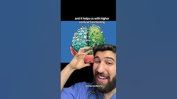 “When I Turned 25 and My Frontal Lobe Fully Developed” #brain