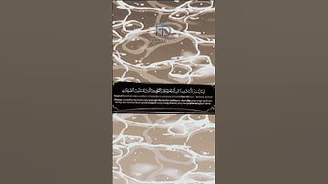 آيات بينات من سورة الكهف #قرآن #اكسبلور #duet #المصحف #قران_كريم #دويتو #العظماء #اهميه #المغرب