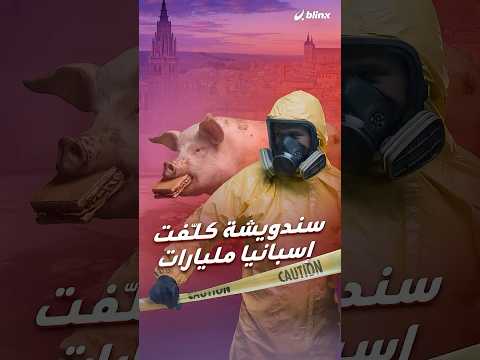 سندويشة فاسدة أكلها خنزير أعادت حمى الخنازير مجددا لإسبانيا واقتصاد أكبر مصدر للحمه على المحك