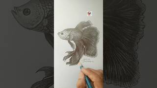 Pencil Stroke (Shorts)