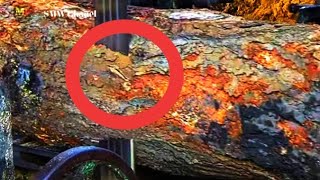 Geel Als Goud Jackfruit Hout Ziet Eruit Als Wanneer Het Oud Is