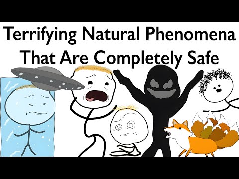 Chizhutch1223: The Phenomenon Explained