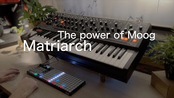 The power of Moog Matriarch + Oxi ONE