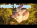 Pet Therapy: Music to Help Your Dog Sleep and Relax!