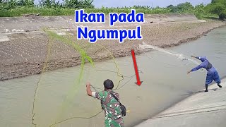 DI LUAR DUGAAN..!! Jala ikan bersama bapak TNI di bendung gerak dapat Banyak ikan || Angger Jala