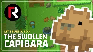 The Swollen Capibara | Let