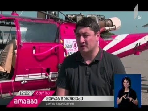 აზიური ფაროსანას საწინააღმდეგო საავიაციო წამლობა გურიის რეგიონში მიმდინარეობს