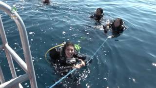 Road To Spirit Nusantara Exploring Komodo Island