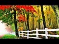 Soft Country Music - Soothing Relaxing Instrumental- Country Scenery_ Realexcel Sanctuary Music