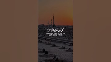 ..القارئ يوسف المرهون