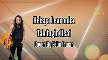 Tak Ingin Usai - Keisya Levronka - Cover by Felix Irwan | Video Lirik Lagu Indonesia