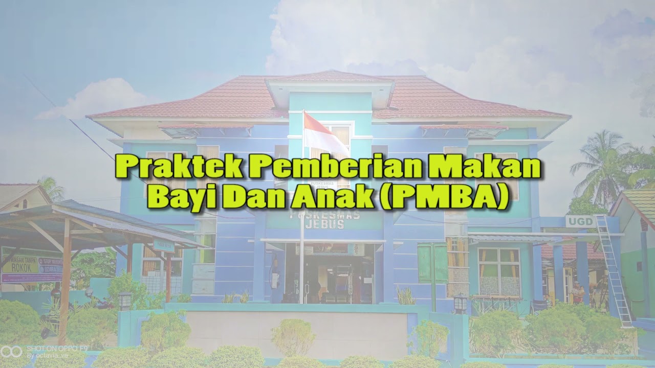 Praktek Pemberian Makan Bayi dan Anak(PMBA)