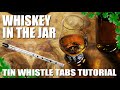 Whiskey in the jar  irish tin whistle song  tabs tutorial