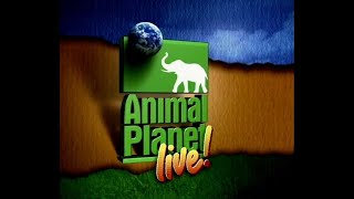 Animal Planet Live! Soundtrack Theme Music Score Universal Studios Hollywood Florida (2001)