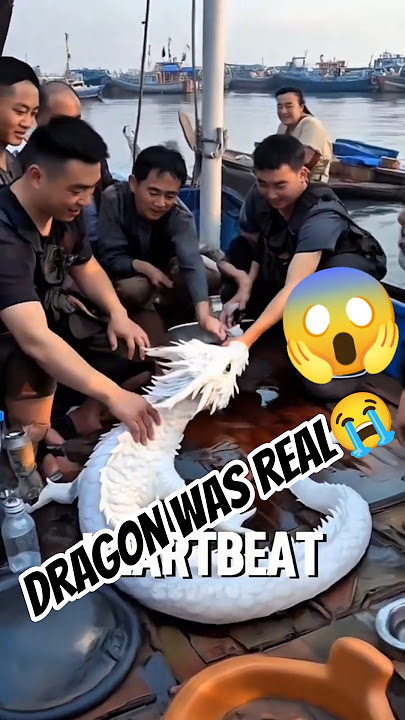 Proof that dragon is real🤯