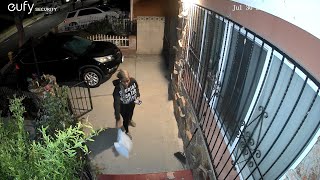 Amazon Delivery Driver Throws Package 📦 