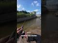 sungai kekeringan banyak ikan ‼️ #viralvideo #shortvideo #mancing