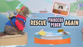 Sunshine In Cat Mario World Super Mario Cat Rescue Princess Peach