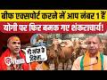 Cow National Animal News: गाय को लेकर CM Yogi पर फिर भड़के Shankaracharya Avimukteshwaranand