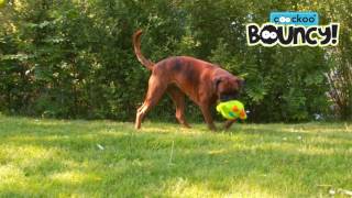 Coockoo Bouncy - interactive dog toy - (Official dog toy product video - EN)