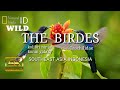 Masteran Kolibri Di Alam Lepas Super Gacor Full Isian Mp3 - Mp4 Download