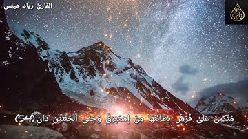 تلاوة خاشعة جدا😢 - من سورة الرحمن - القارئ زياد عيسى - مقام البيات