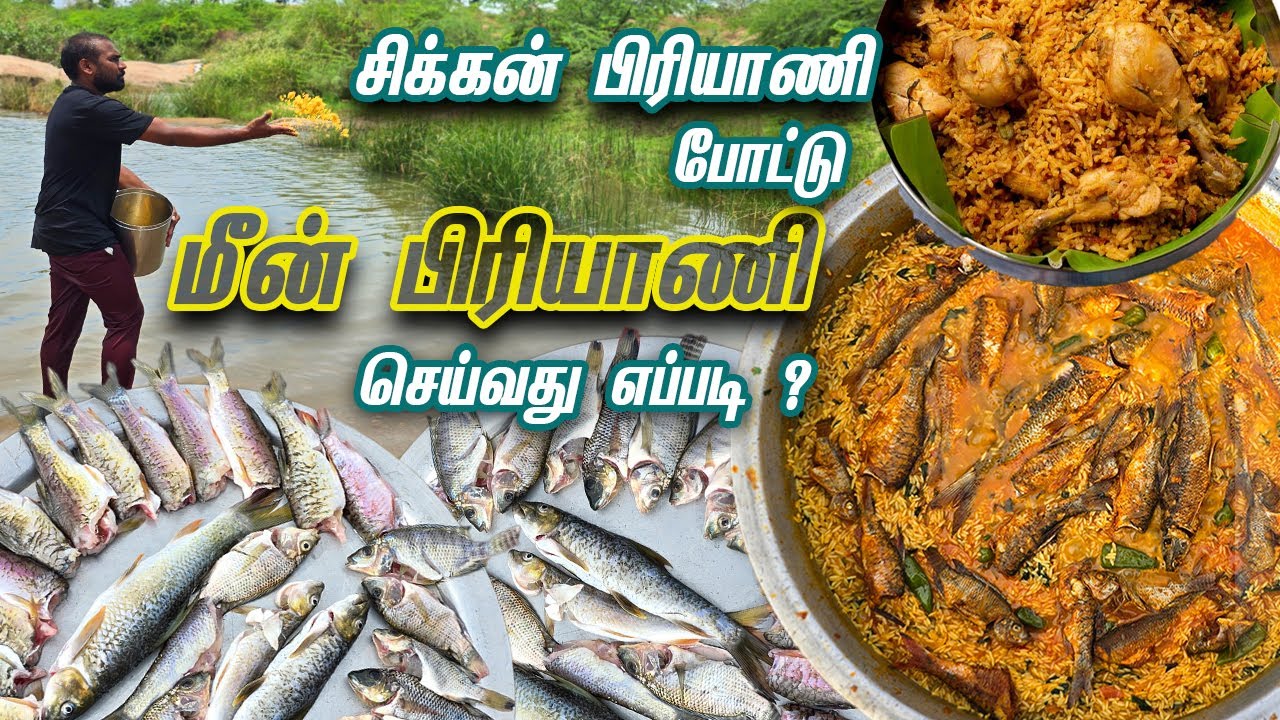 மீனுக்கு சிக்கன் பிரியாணி  போட்டு💥 மீன் பிரியாணி செய்வது எப்படி...🤔 Fish Biryani - Fish Catching 🦈
