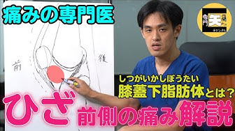 膝蓋下脂肪体 Youtube 膝蓋下脂肪体 Youtube