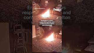 Dog starts fire after chewing on lithium battery.