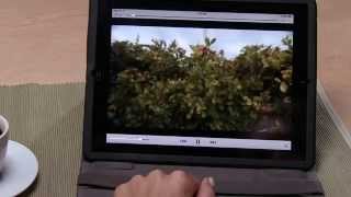 Discover Forever Mobile App HD screenshot 4