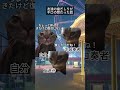 åéãã®ãå¥è
ã ã£ã話 #vtuber #ç«ããŒã #catsmemes #catmemes #catmeme