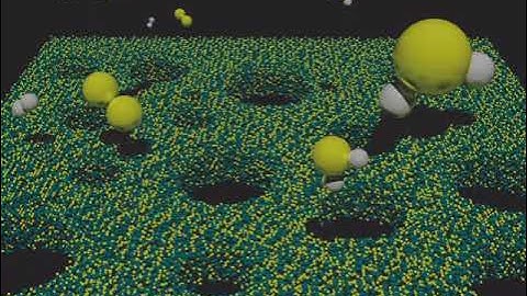 Hear from our RSC Applied Interfaces authors: Fabiano Bernardi and Alisson S. Thill