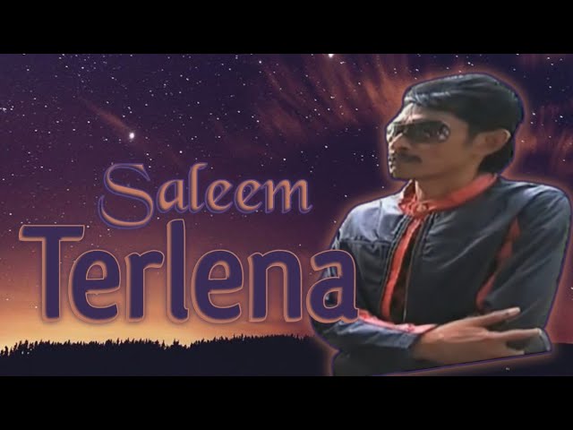 SALEEM - Terlena | Video Lirik class=