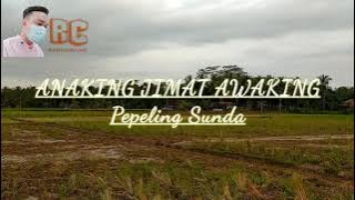 ANAKING JIMAT AWAKING |pepeling sunda| #papatah kolot bahela sedih