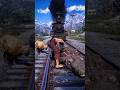 Simulate extreme survival skills x1 #shorts #short
