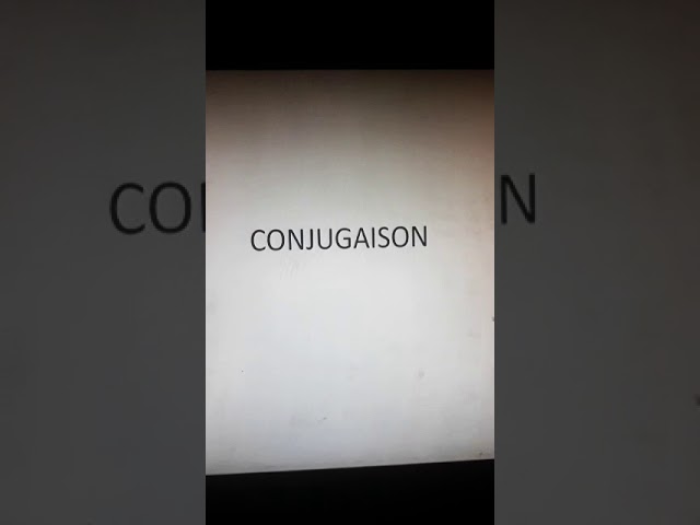 Conjugaison 5ap être et avoir au présent de l'indicatif