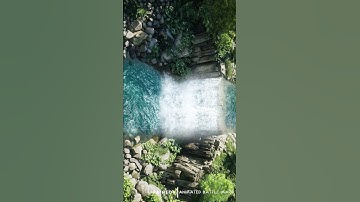 D&D | Forest Falls Part 2 Grid | Animated Battle Maps